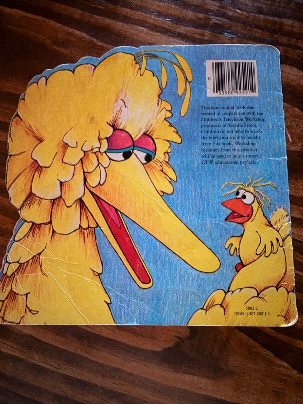 Sesame Street Big Bird & Little Bird Yellow Kids Book